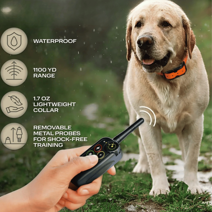 Enhance dog obedience with this waterproof long-range 1000m remote training e-collar. Pet behavior tool.