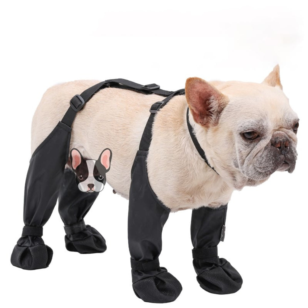 Rugged hiking dog boots offer superior paw protection & durability for all outdoor dog gear needs. Comfortable fit.