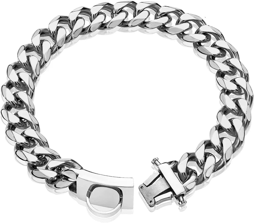 Premium titanium steel dog collar in gold & silver for medium & large dogs. Ultra-durable pet fashion accessory.