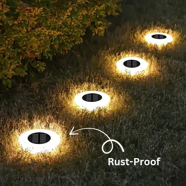 Durable solar pathway lights for outdoor use, rust-proof, all-season LED garden landscape lighting.