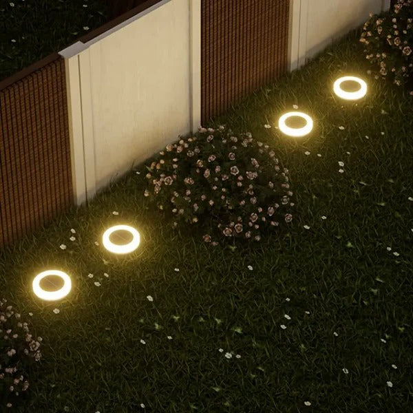 Energy-efficient automatic solar LED pathway lights with bright white light for garden & exterior decor.