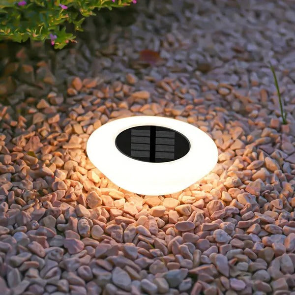 Enhance outdoor spaces with all-season, rust-proof solar LED pathway lights, energy-efficient for gardens.