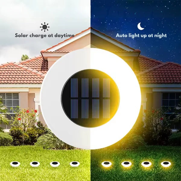 All-season durable solar LED pathway lights, rust-proof & weatherproof, perfect for garden & landscape decor.
