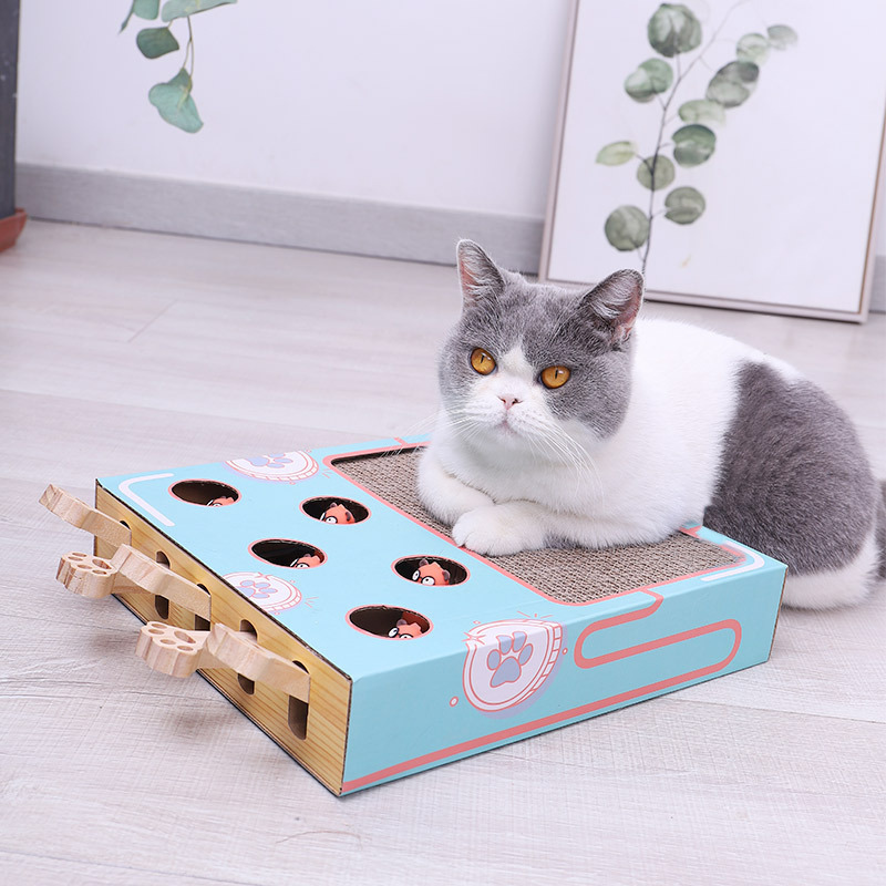 Eco-friendly 3-in-1 interactive cat playground with cardboard scratch post & play box for feline enrichment.