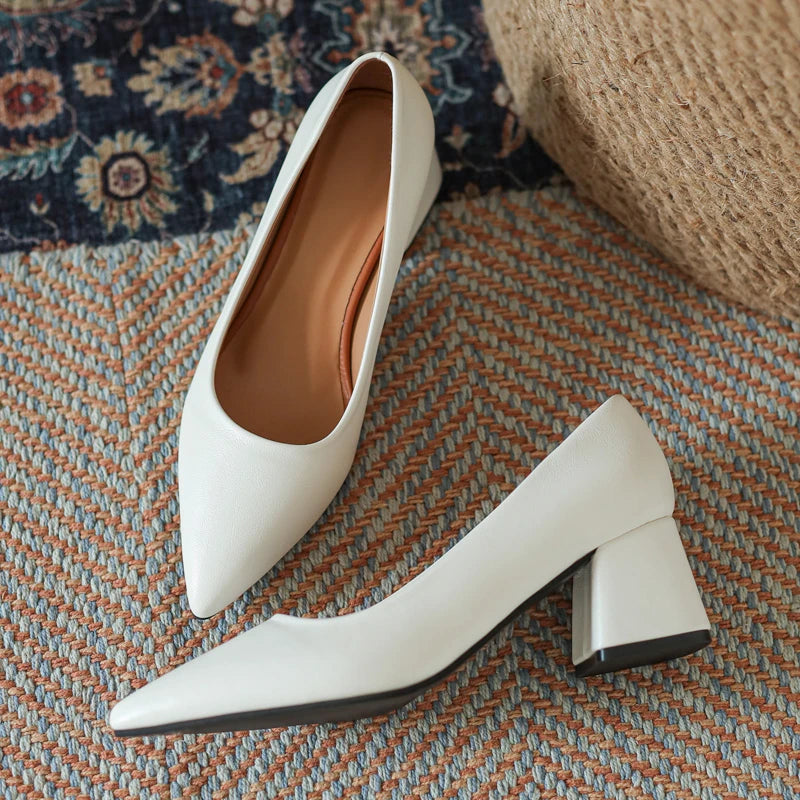 Comfortable women's block heels with a closed, pointed toe, perfect for work or elegant dress occasions.