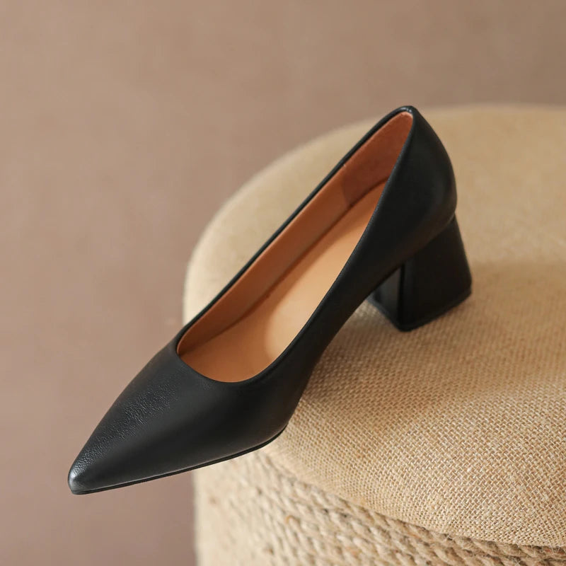 Women's elegant pointed-toe block heels, comfortable and versatile dress shoes for parties and events.