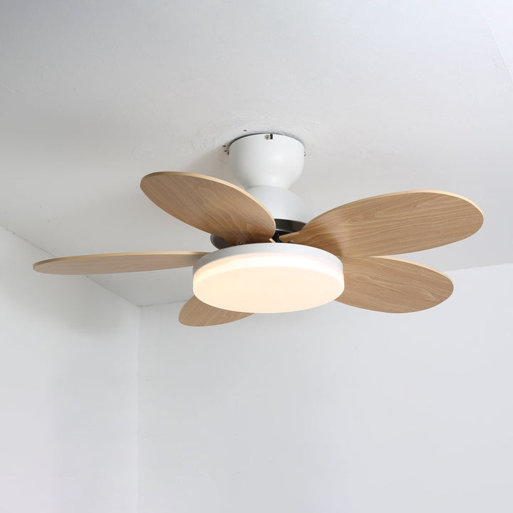 Sophisticated LED ceiling fan, energy efficient, warm light, wood blades, remote.