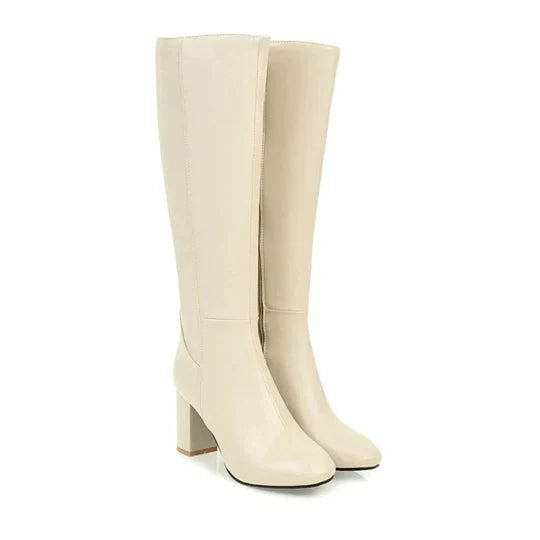 Fashionable tall women's boots with a sturdy block heel and practical side zipper, ideal for fall/winter.