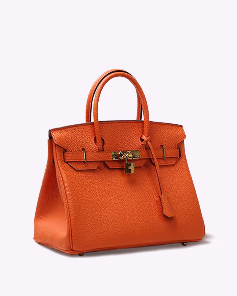 Modern women's luxury tote. Elegant handbag for work & travel, offering practical organization & style.