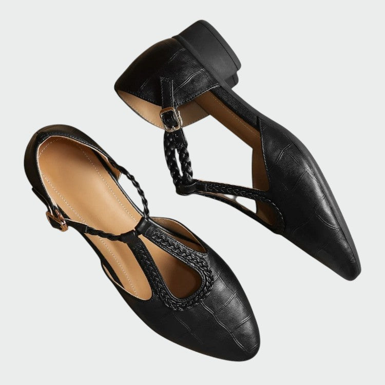 Versatile brown T-Bar Mary Jane shoes for women. Comfortable block heel and elegant pointed toe for all-day wear.