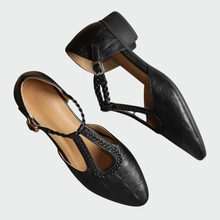 Versatile brown T-Bar Mary Jane shoes for women. Comfortable block heel and elegant pointed toe for all-day wear.