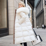 White with Solid Colour