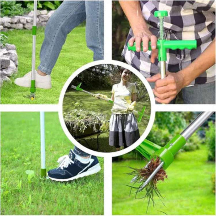 Eco-friendly garden weed puller, removing weeds & roots without chemicals, ideal for lawn care.