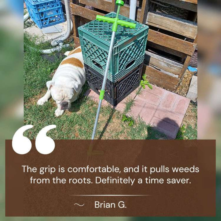 Multi-purpose ergonomic long handle garden tool for weeding, root pulling, and lawn care.