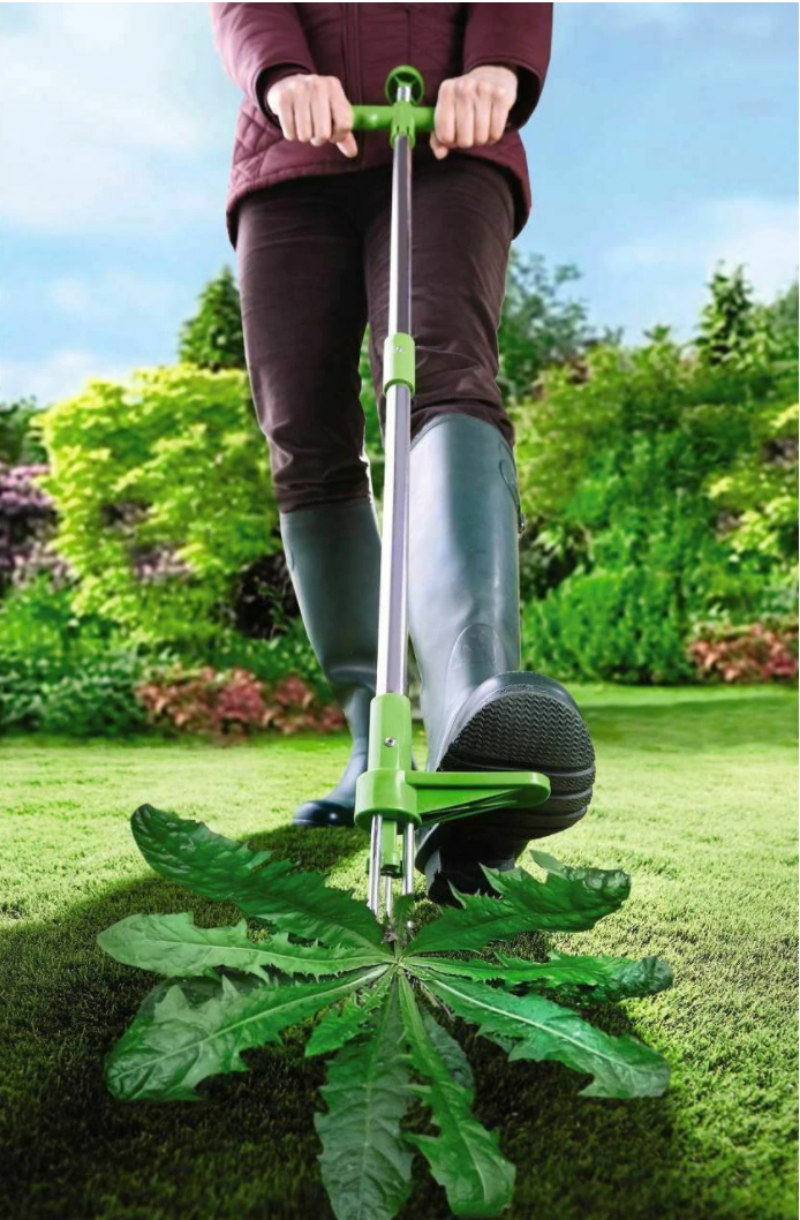 Ergonomic stand-up garden weed puller for effortless root removal. Manual lawn care tool, eco-friendly grass puller.