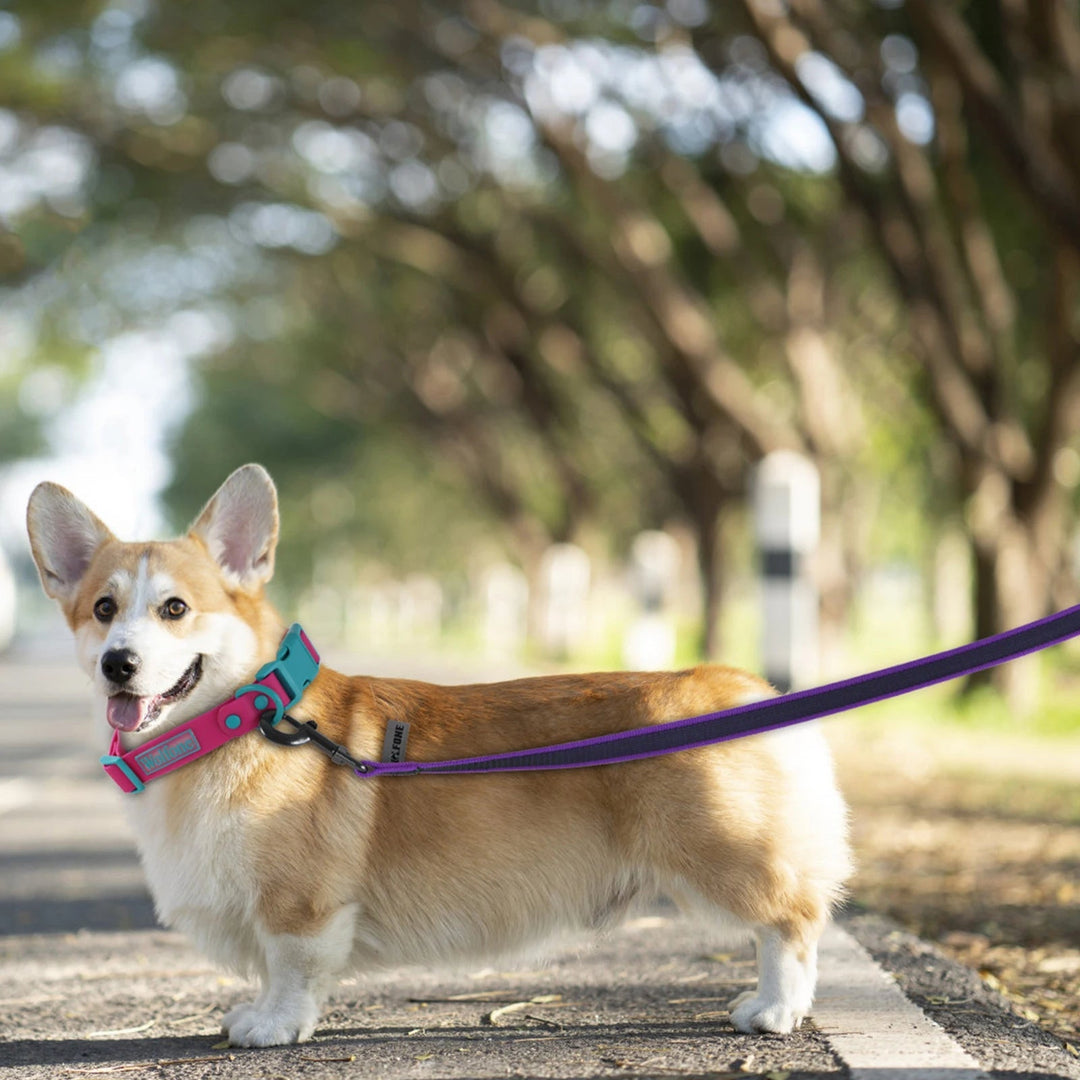 Long waterproof training lead with padded handle, giving dogs freedom to explore.
