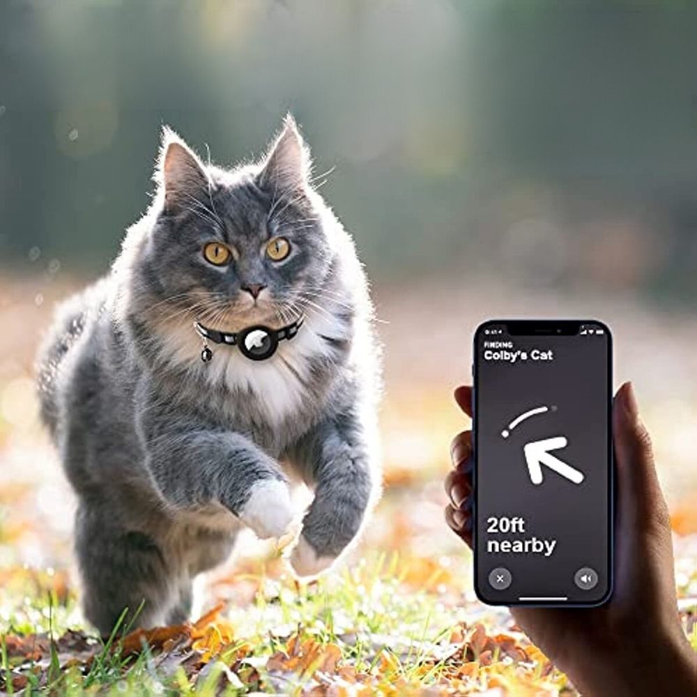 Cat GPS tracker collar, reflective nylon, ensures pet safety & easy location.