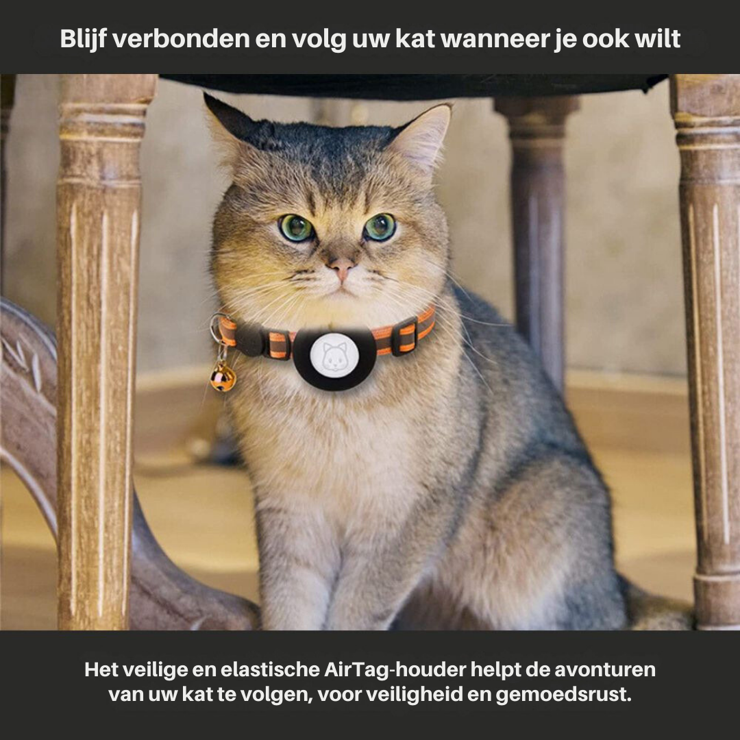 Reflective quick-release cat collar with GPS for ultimate pet safety.