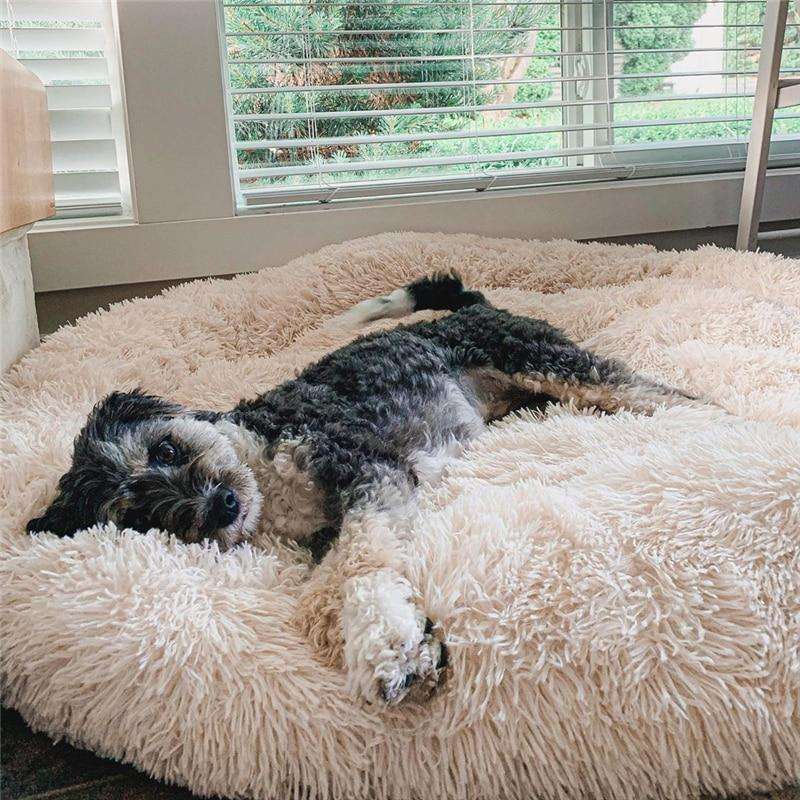 Comfortable calming dog bed, fluffy donut shape, ideal for anxiety relief & deep sleep. Faux fur.