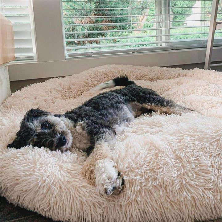 Comfortable calming dog bed, fluffy donut shape, ideal for anxiety relief & deep sleep. Faux fur.