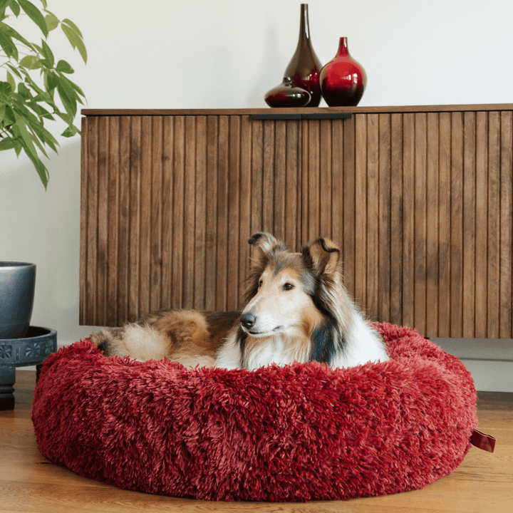 Anxiety relief fluffy dog bed, donut design, for calming comfort & deep sleep. Soft faux fur pet bed.