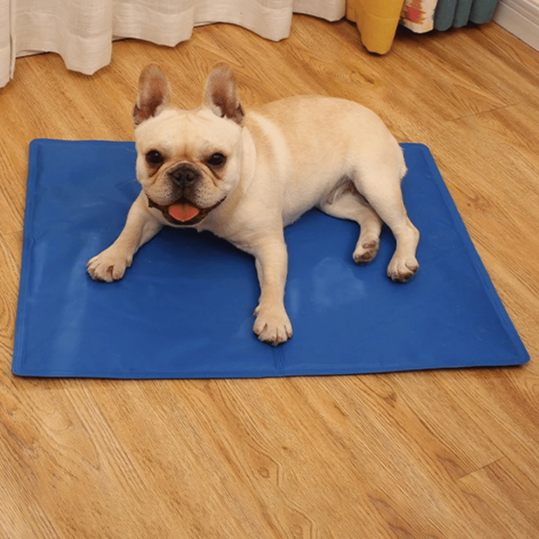 Comfortable gel mat for dogs, providing cool relief and a relaxing pet pad during hot summer.