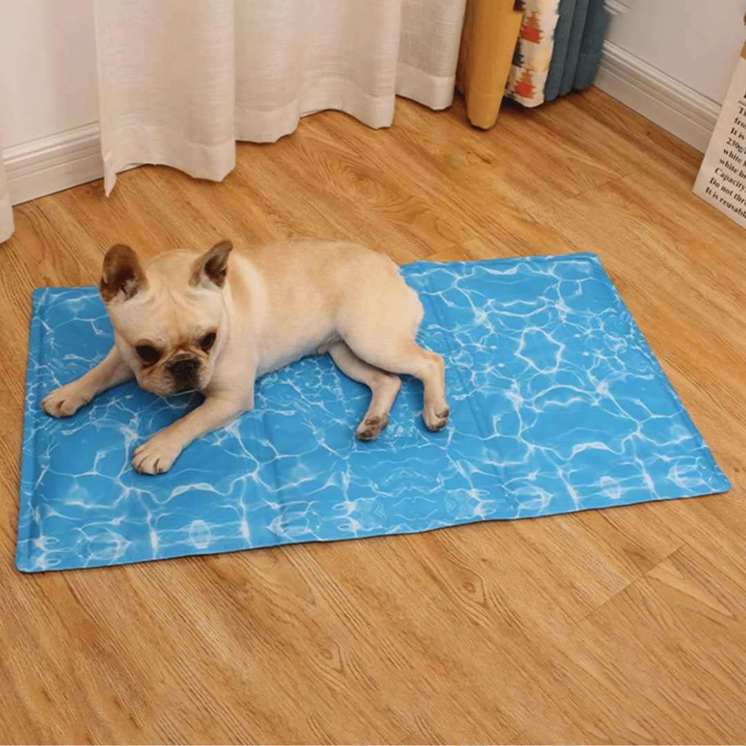 Dog cooling mat offering instant heat relief; a durable, water-resistant pet pad for all dogs.