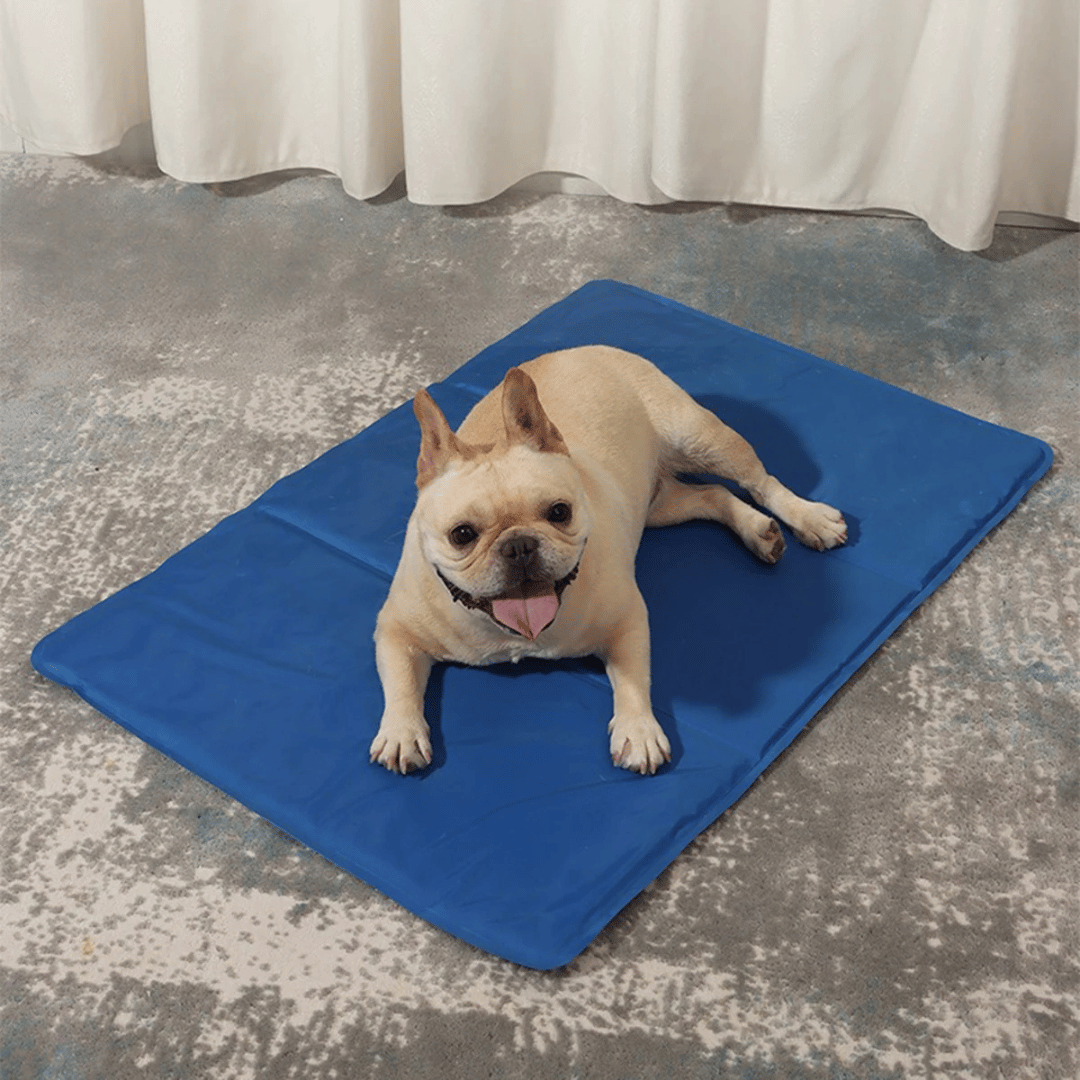 Versatile gel-filled dog cooling mat, perfect water-resistant pet pad for indoor or outdoor use.