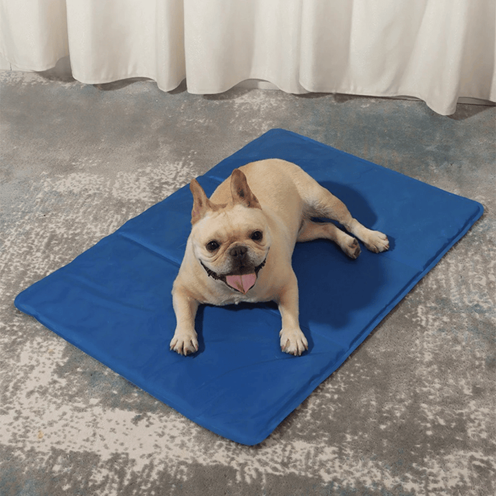 Versatile gel-filled dog cooling mat, perfect water-resistant pet pad for indoor or outdoor use.