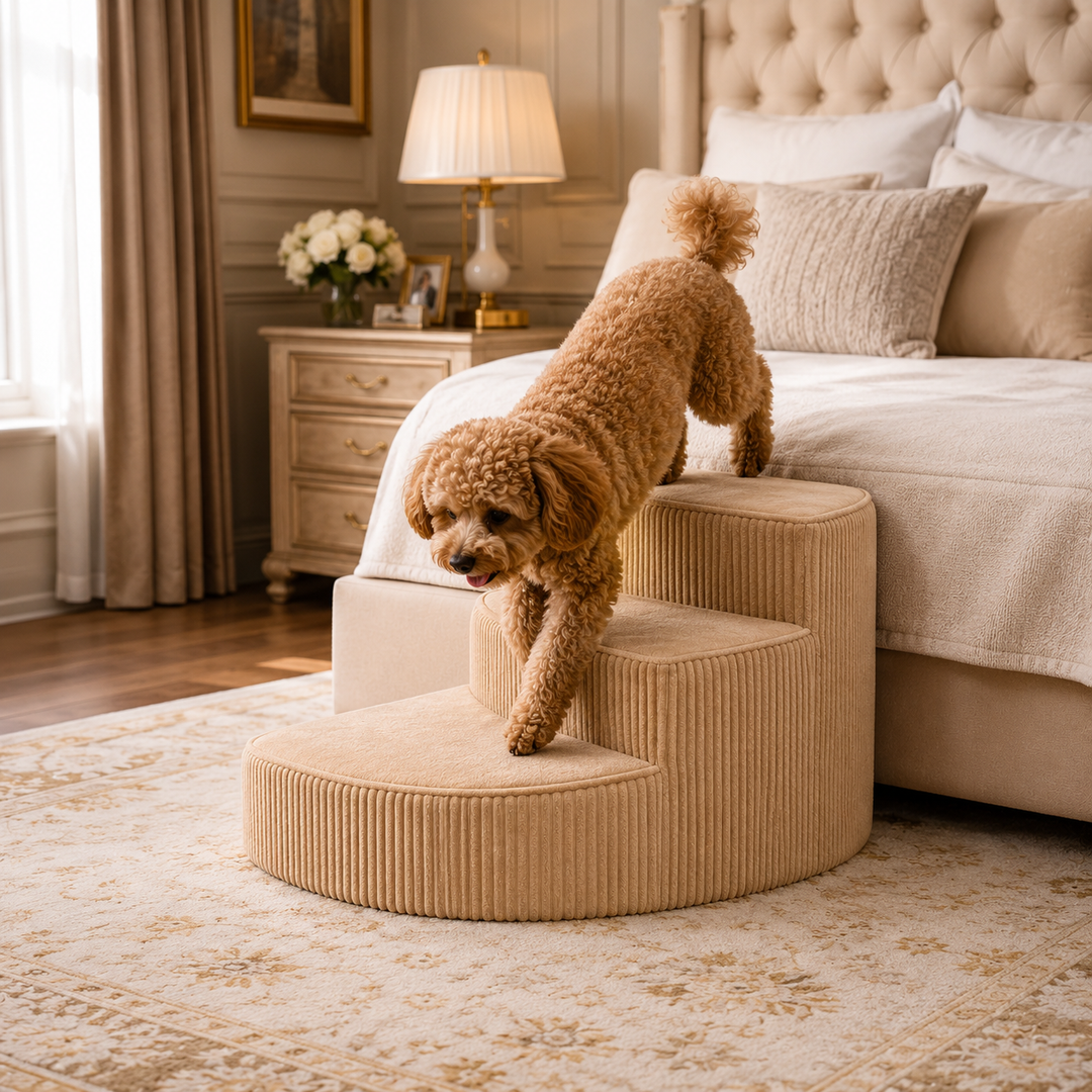 Small dog steps, grey non-slip foam pet stairs for easy bed access & mobility.