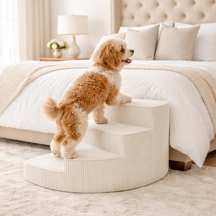 Brown pet furniture, supportive foam stairs for small dogs, ideal for joint care.