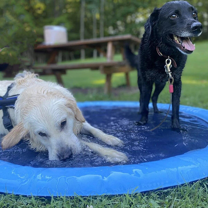 Cooling mat dog fountain for summer, durable pet water play toy, refreshing outdoor fun.
