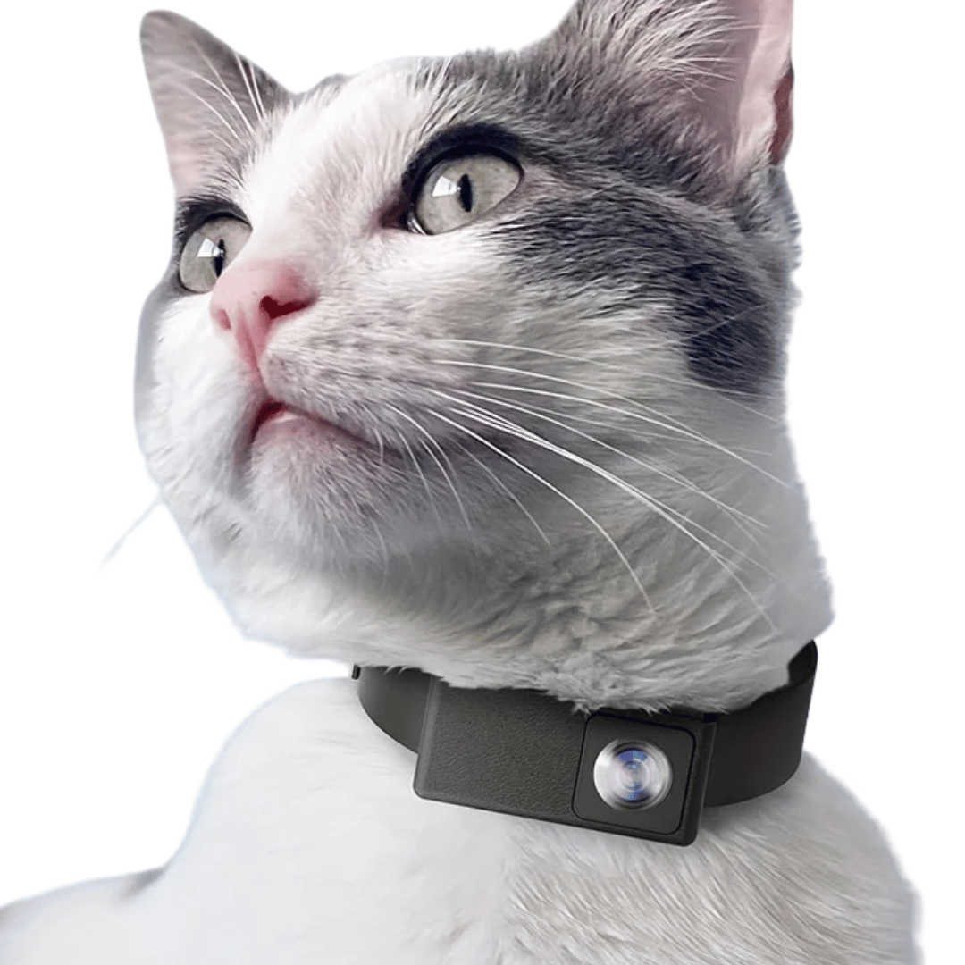 HD pet collar camera with 160° wide-angle lens for dogs & cats, capturing their adventures.