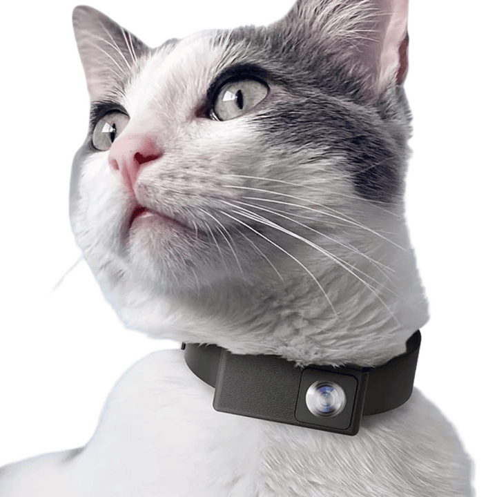HD pet collar camera with 160° wide-angle lens for dogs & cats, capturing their adventures.