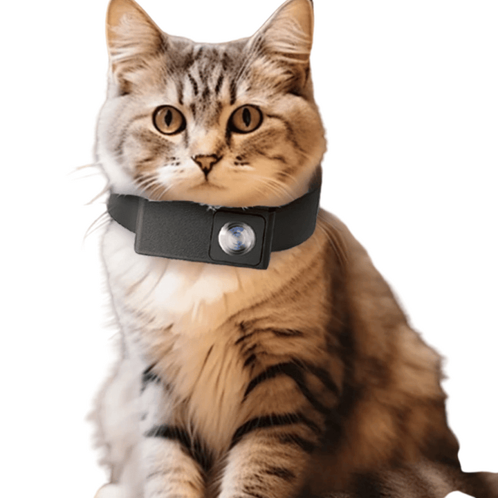 Explore their world! Collar camera with 160° lens, perfect for dog and cat adventures.