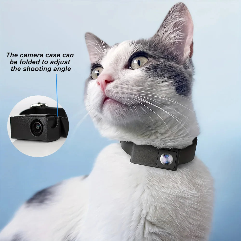 Durable HD pet camera, easily attaches to collars for dogs & cats to record daily life.