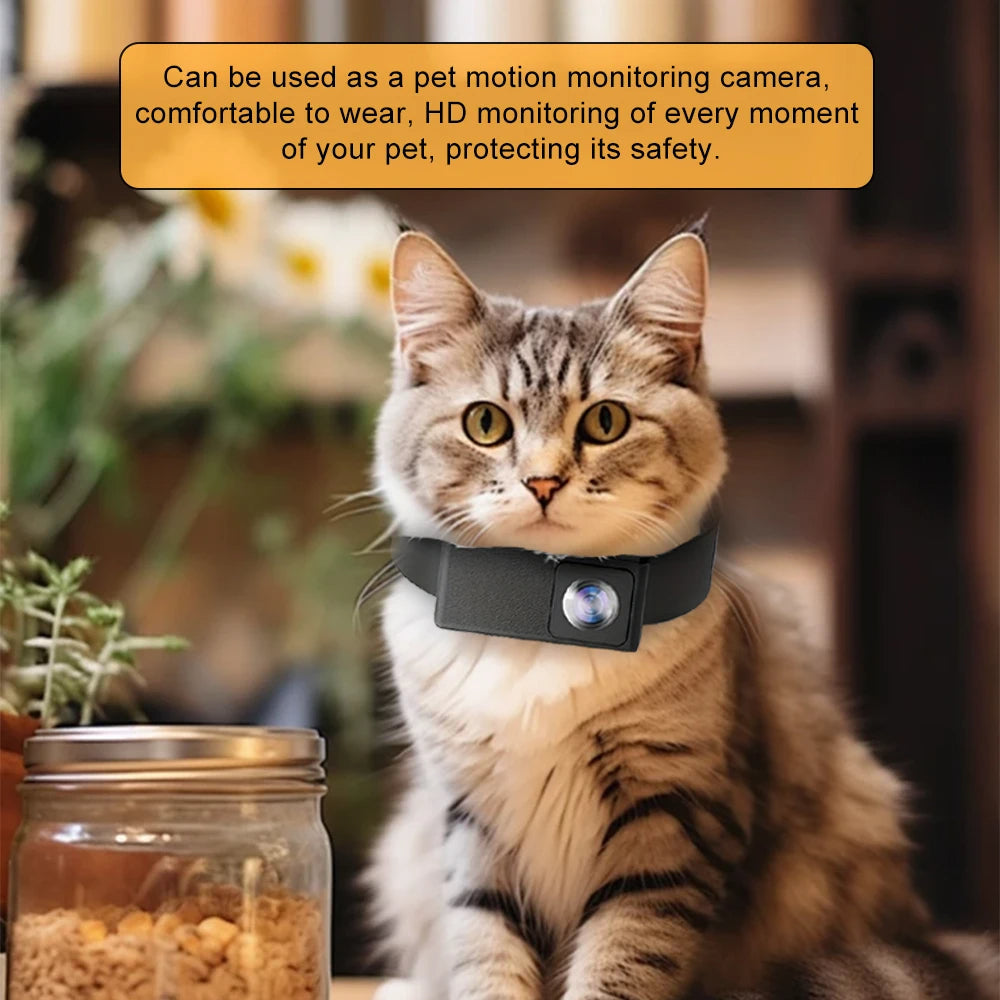 Lightweight cat camera & dog camera for collars, offering HD video with a 160° lens.