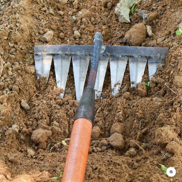 Versatile steel garden rake, a robust hand tool for heavy-duty weeding and soil prep.