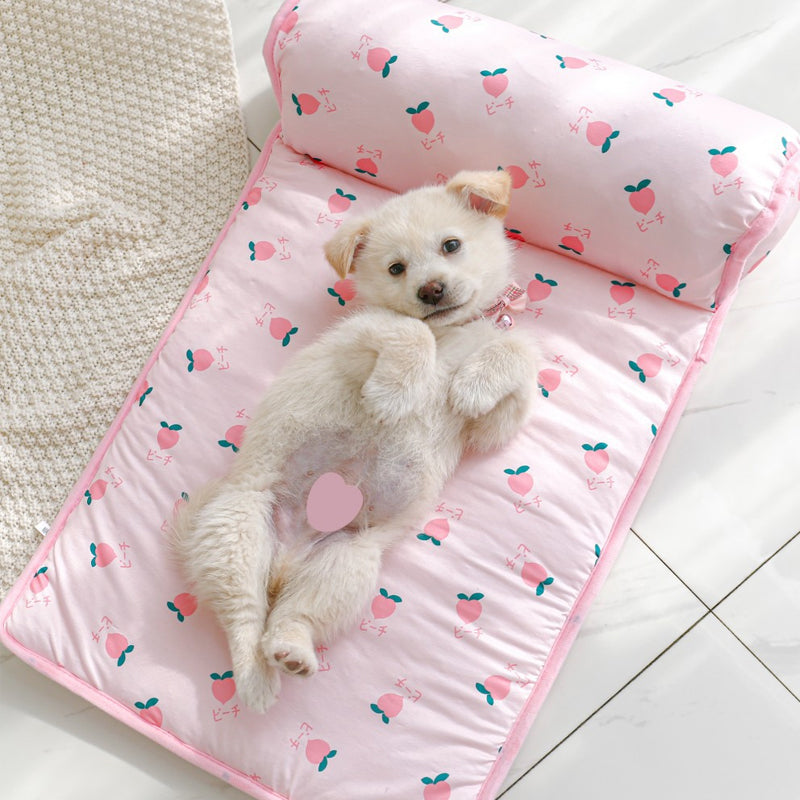 Pets' ice silk cooling mat for dogs, cats & kittens to beat summer heat.
