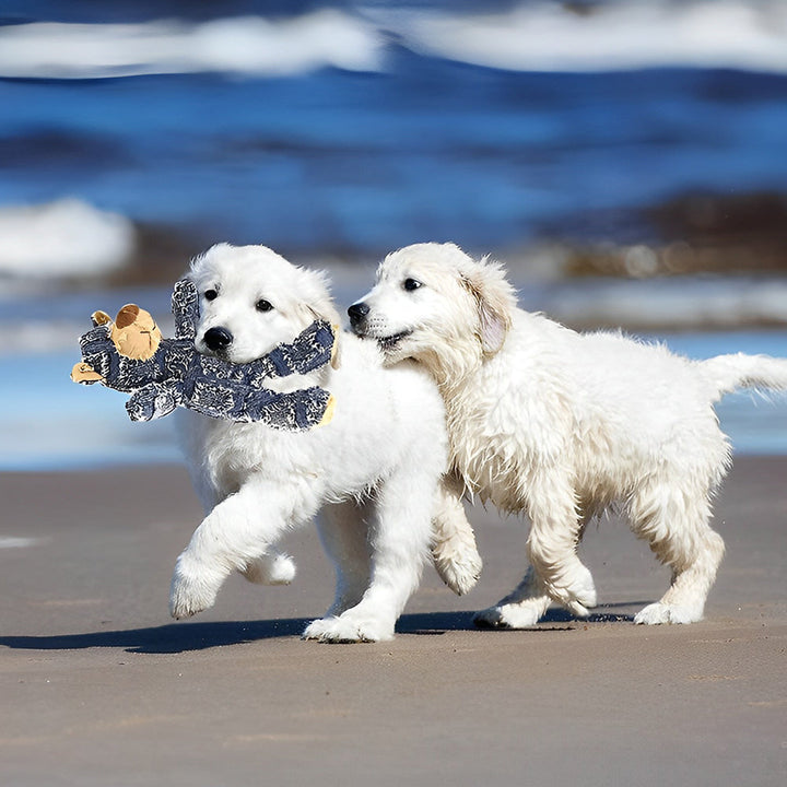Dog happily playing with an indestructible plush bear chew toy, perfect for aggressive chewers.