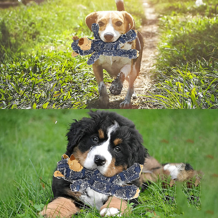 Long-lasting plush bear dog toy for aggressive chewers. Promotes dental health, a fun chew toy.