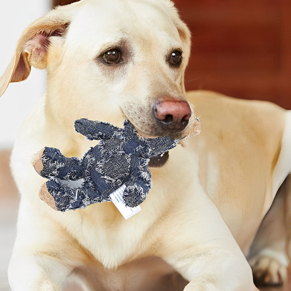 Premium pet supply: Indestructible plush bear dog toy. Squeaky & durable for aggressive chewers.