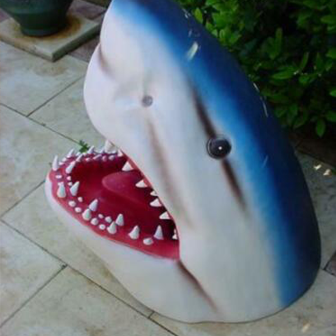 Shark statue by pool, lifelike resin poolside decor for a nature-inspired outdoor space.