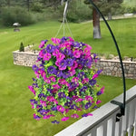 Pink/Purple