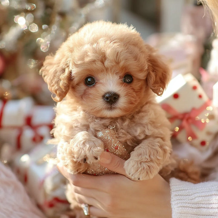 Soft brown and white plush puppy, a realistic stuffed animal and comforting kids toy for all ages.