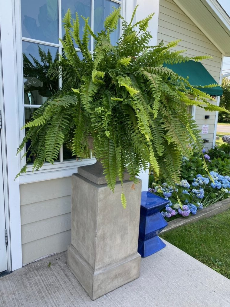 Lifelike outdoor artificial Boston fern, UV-resistant faux plant for patio and garden decor.