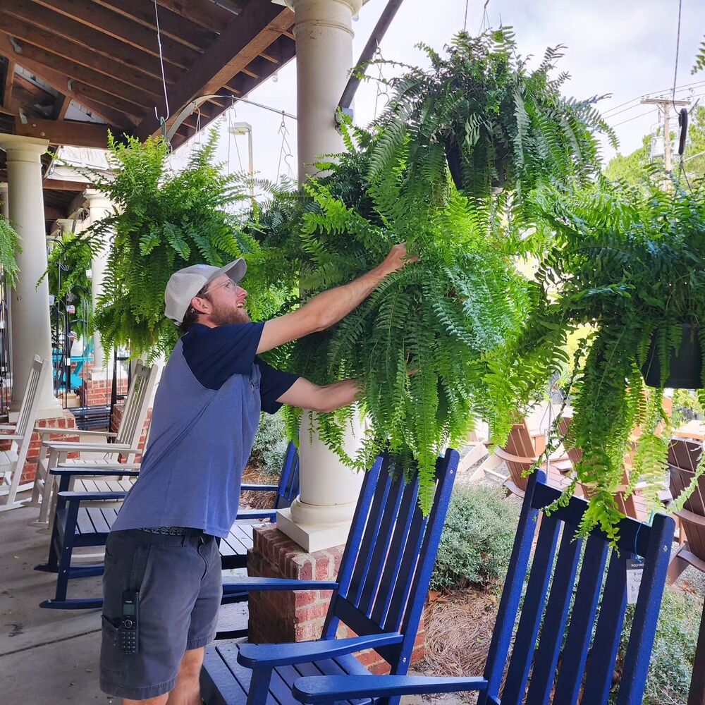 Realistic artificial Boston fern, UV-resistant for vibrant outdoor garden & patio accents.