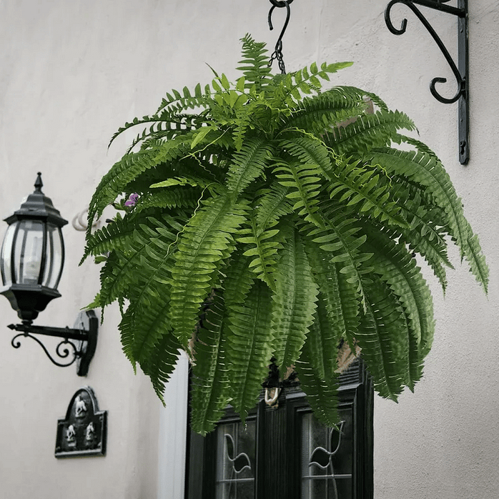 Beautiful UV-resistant artificial Boston fern for stunning garden, balcony & patio decor.