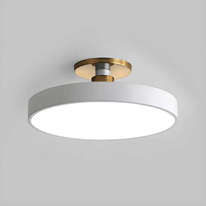 Sleek Lumeanon round LED ceiling light, modern, dimmable, flush mount for contemporary living.