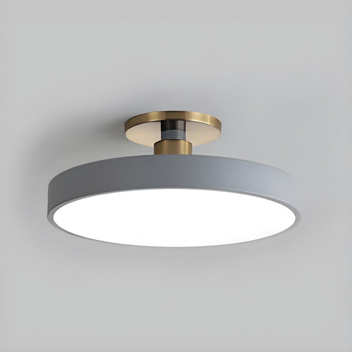 Lumeanon round LED ceiling fixture, modern design, dimmable, energy-efficient, ambient lighting.
